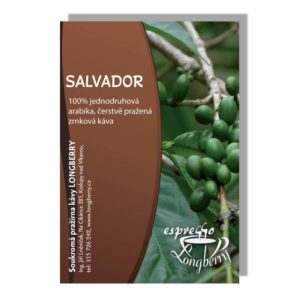 Salvador